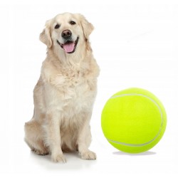 Piłka dla psa - GIGANT